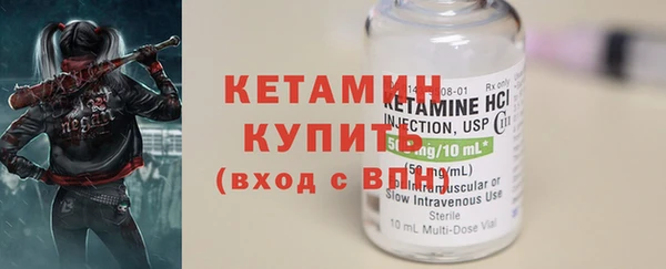 прущие грибы Надым