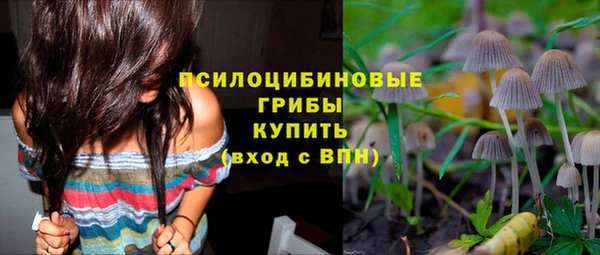 прущие грибы Надым